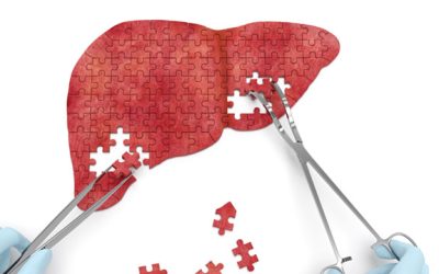 cirurgia_figado_interna.jpg
